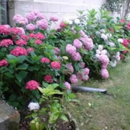 Vaste Maison 23/29 Pers. Piscine Proche Des Plages