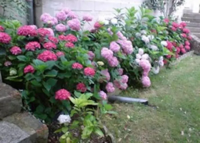 Vaste Maison 23/29 Pers. Piscine Proche Des Plages